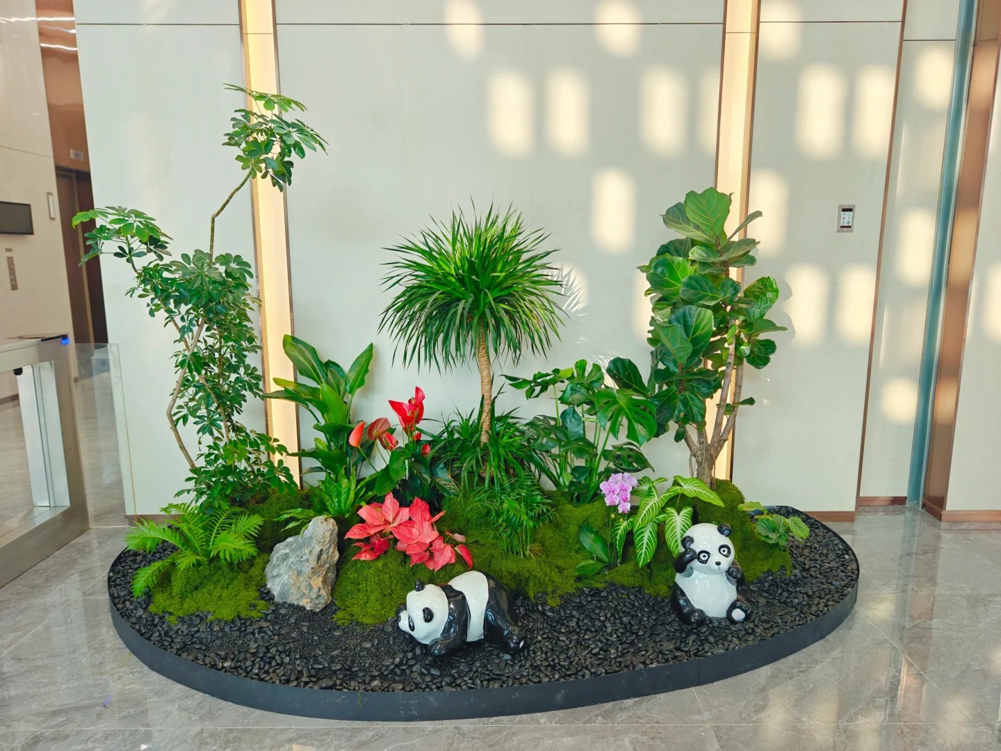 余姚植物出租,为您的空间增添自然清新气息